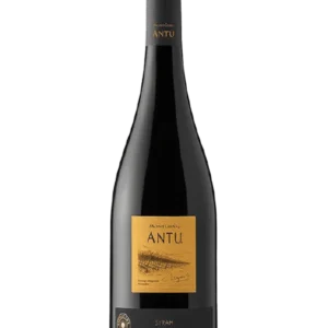 Antu Ninquen Syrah